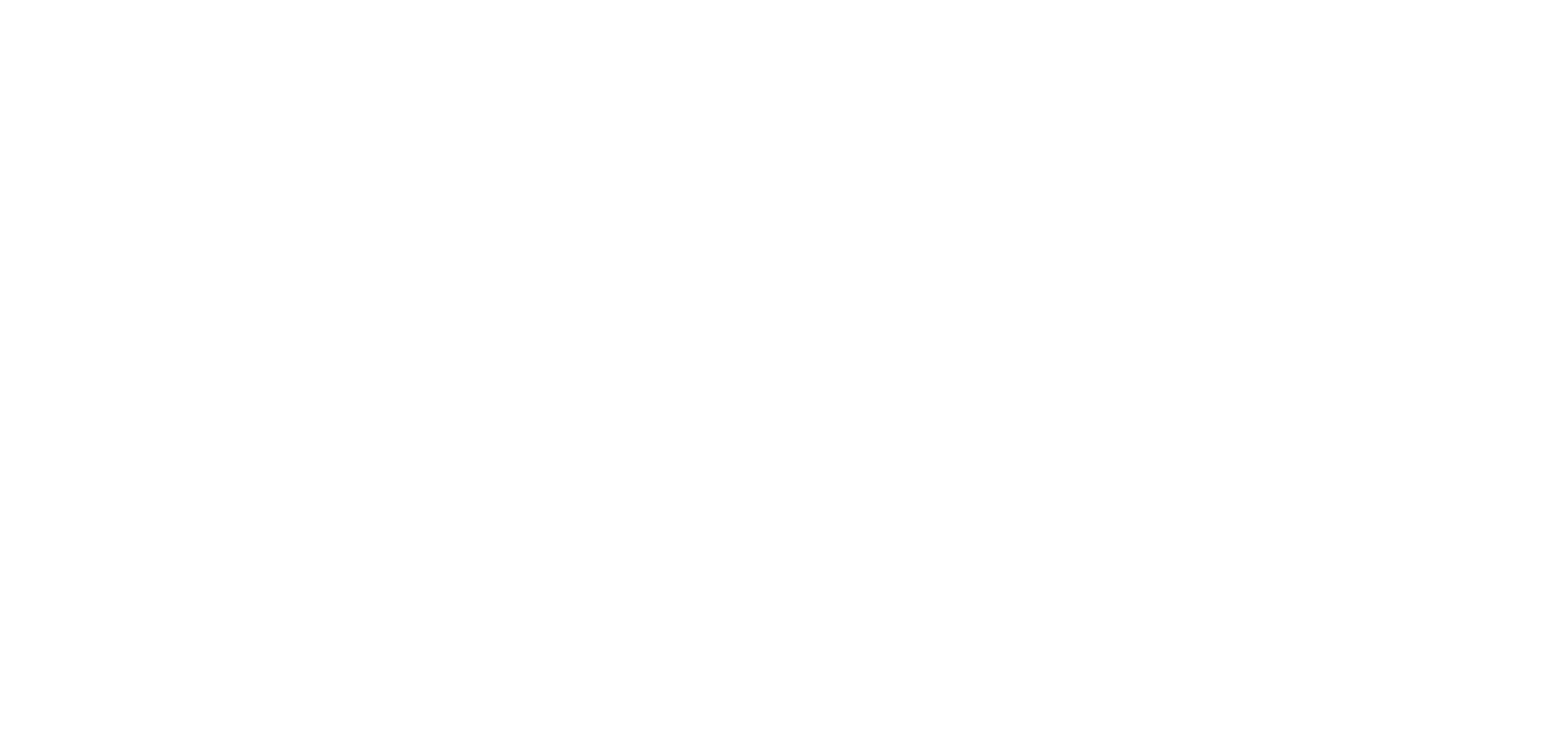 Monica Bonvicini